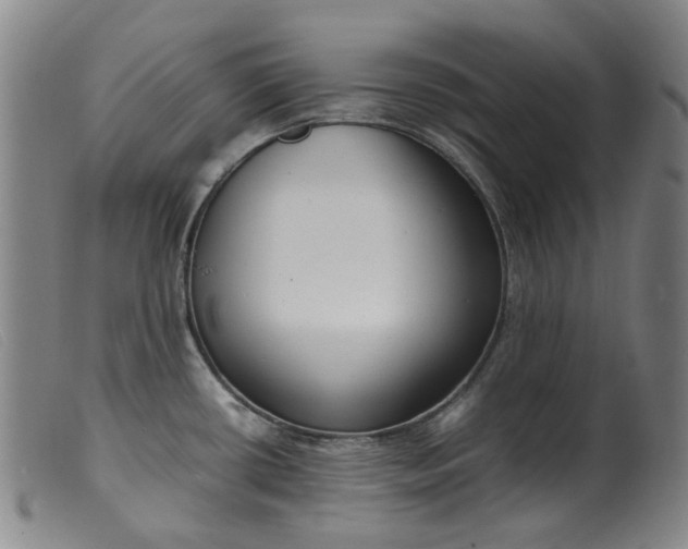 X0000099401434200805221845