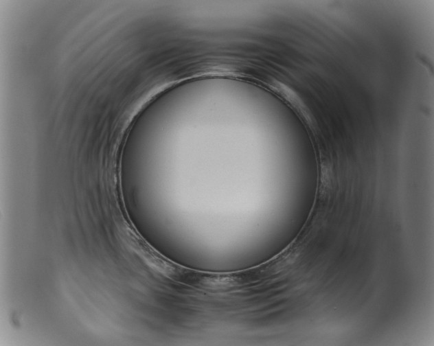 X0000099401435200805221845