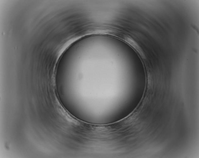 X0000099401436200805221845