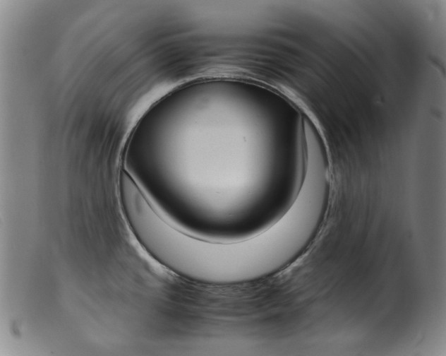 X0000099401437200805221845