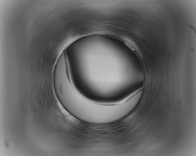 X0000099401439200805221845