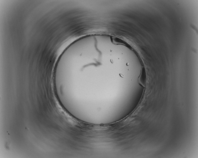 X0000099401440200805221845