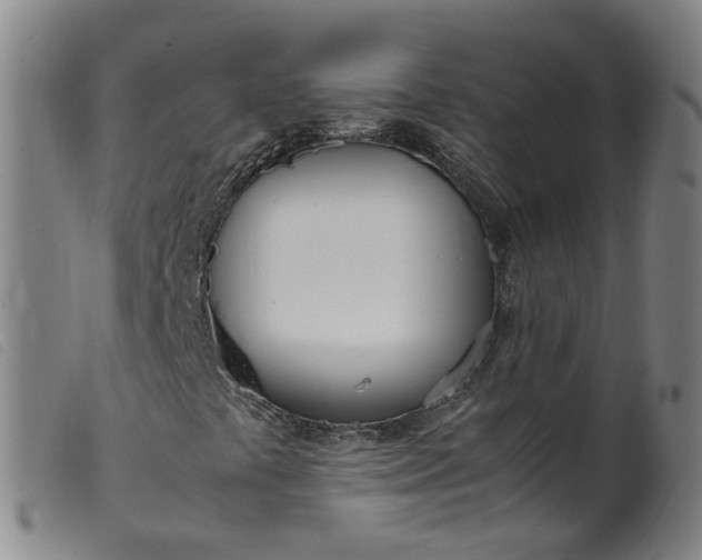 X0000099401441200805221844