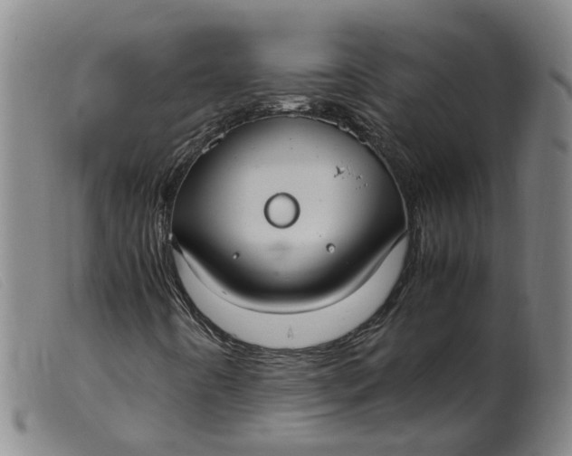 X0000099401442200805221844