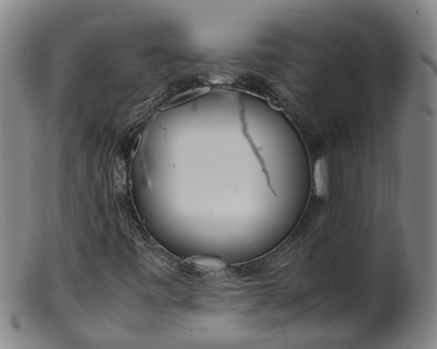 X0000099401443200805221844