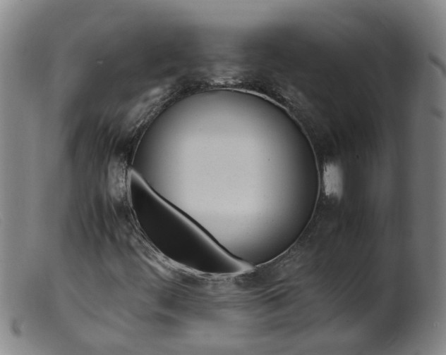 X0000099401444200805221844