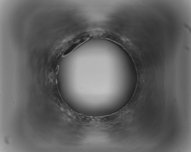 X0000099401445200805221844