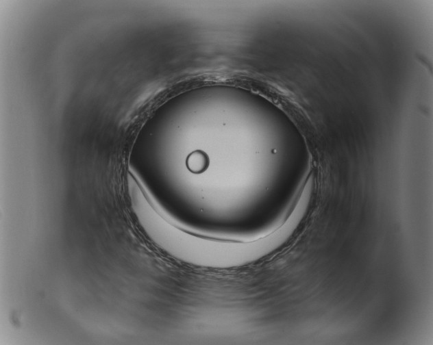 X0000099401446200805221844