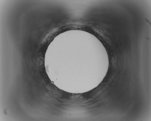 X0000099401447200805221844