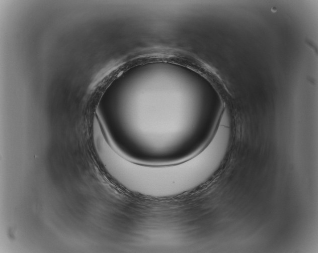 X0000099401448200805221844