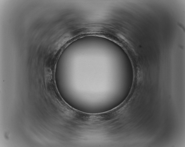 X0000099401449200805221844