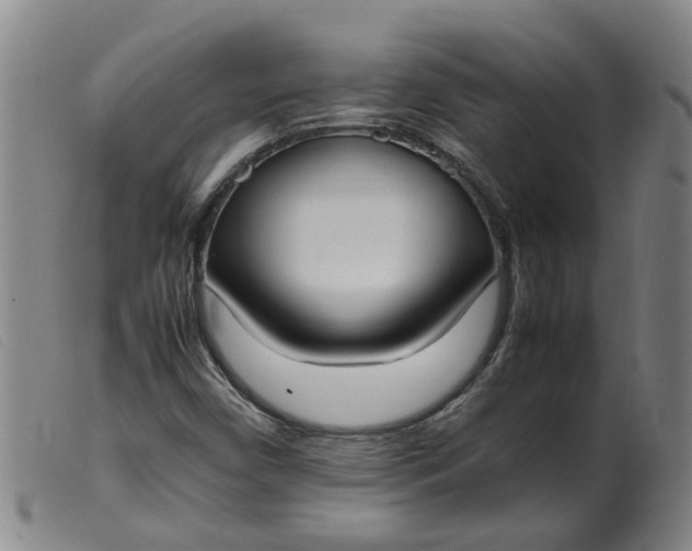 X0000099401450200805221844