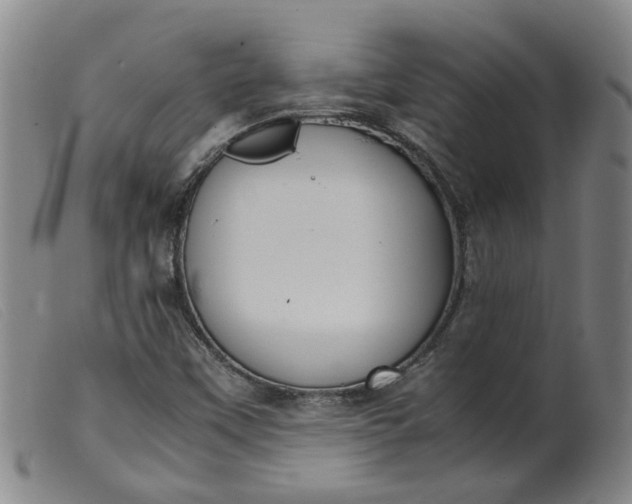 X0000099401451200805221844