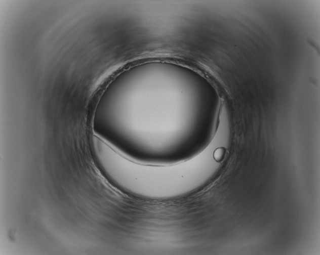 X0000099401452200805221844