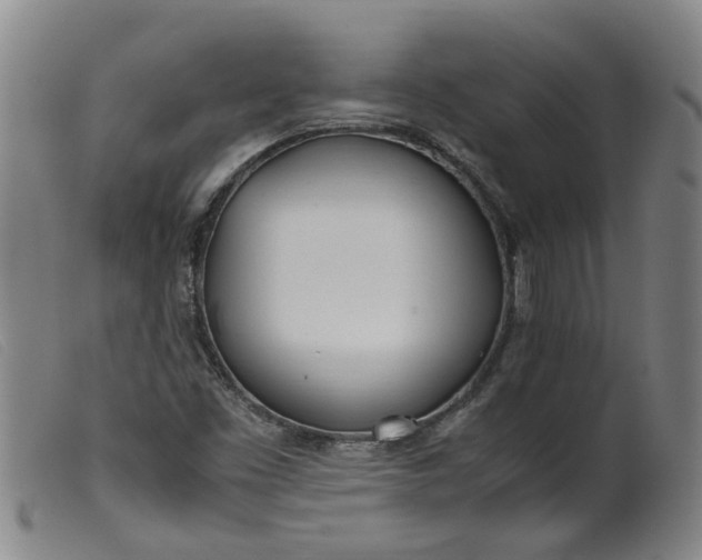 X0000099401453200805221844