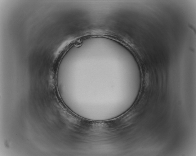 X0000099401454200805221844