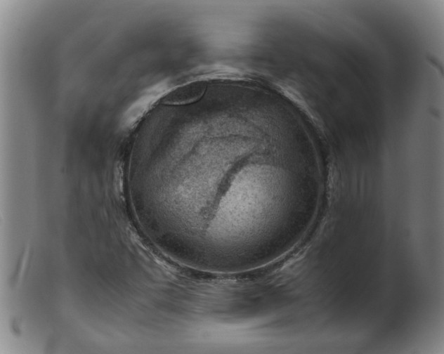 X0000099401455200805221844