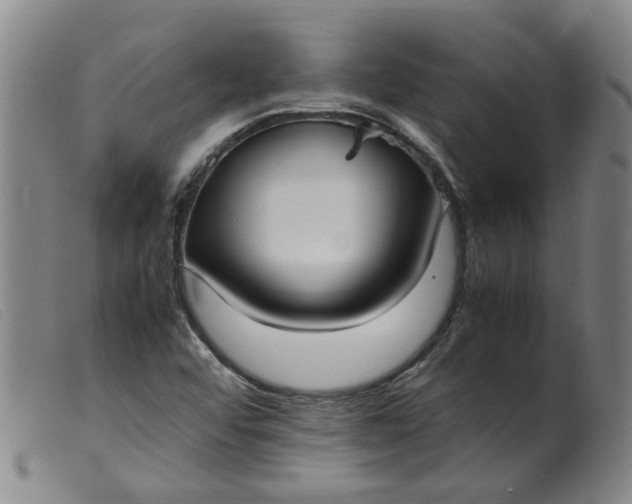 X0000099401456200805221844