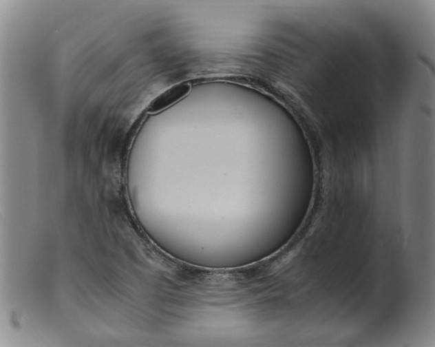 X0000099401457200805221844