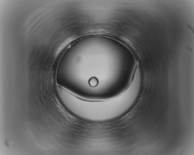 X0000099401458200805221844