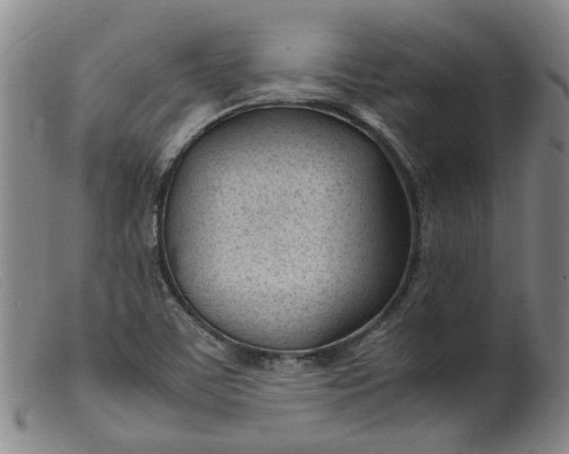 X0000099401459200805221844