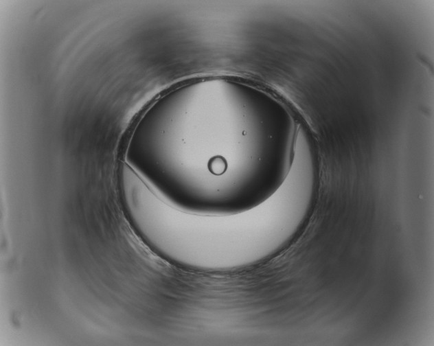 X0000099401460200805221844