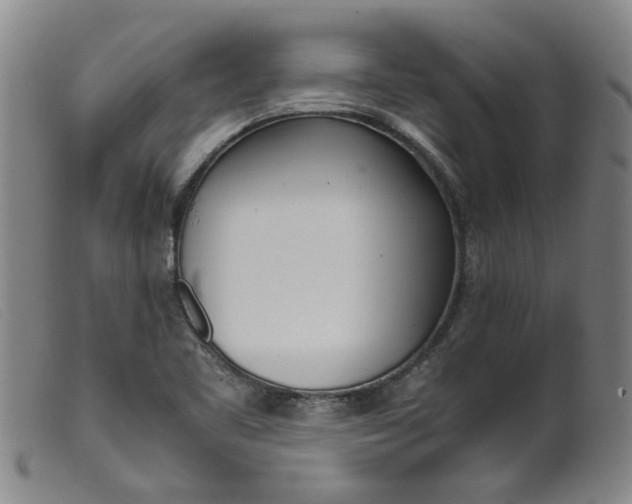 X0000099401461200805221844