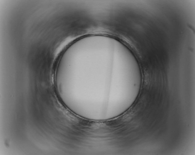 X0000099401462200805221844