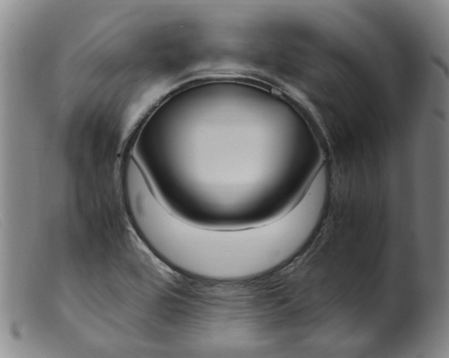 X0000099401464200805221844