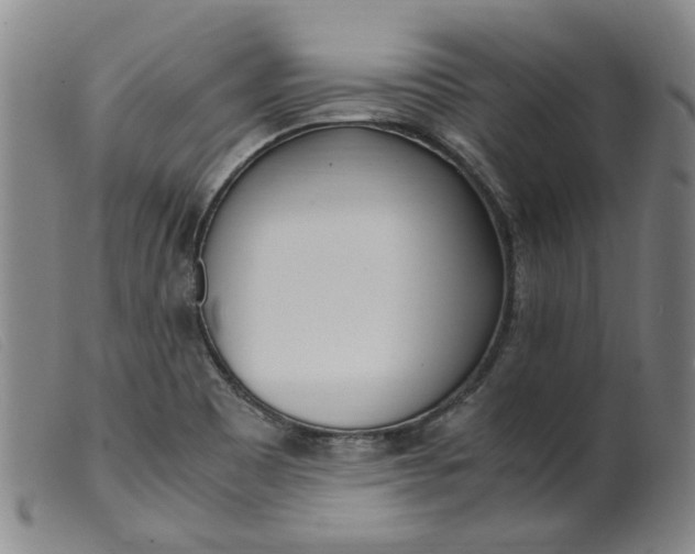 X0000099401465200805221844