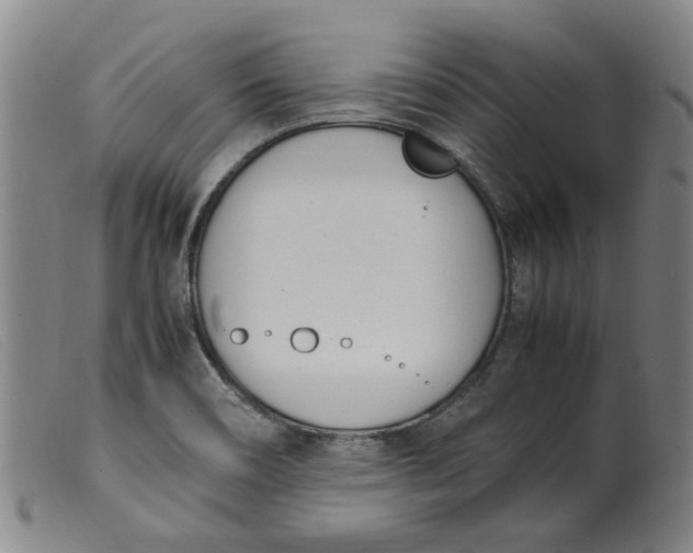 X0000099401466200805221844