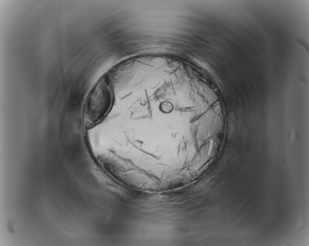 X0000099401467200805221844