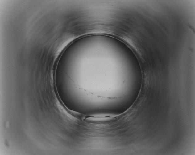 X0000099401468200805221844