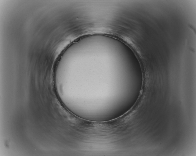 X0000099401469200805221844