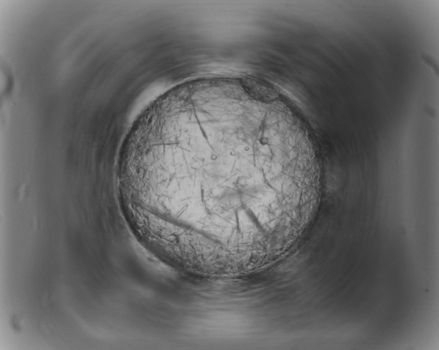 X0000099401471200805221844