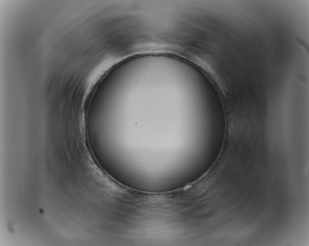 X0000099401472200805221844