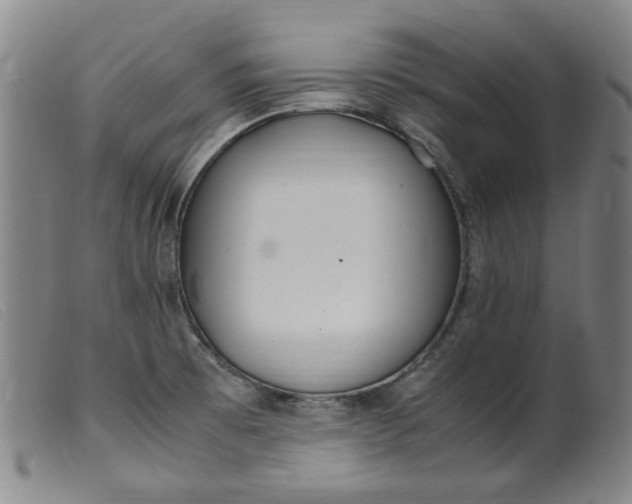 X0000099401473200805221844