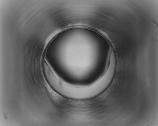 X0000099401474200805221844