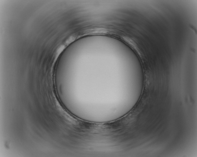 X0000099401475200805221844