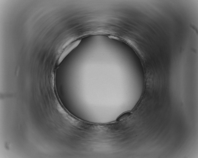 X0000099401476200805221844