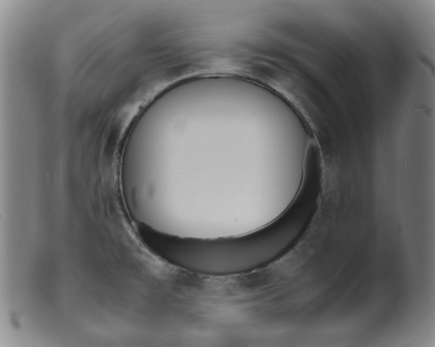 X0000099401477200805221844