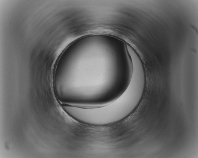 X0000099401478200805221844