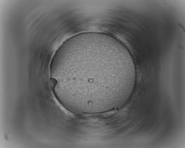 X0000099401479200805221844