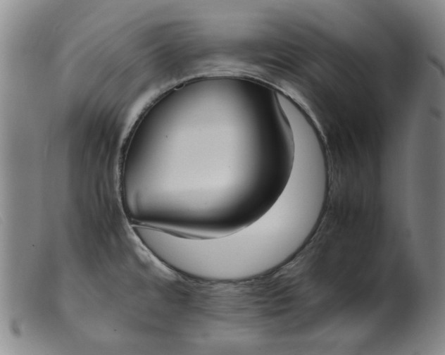 X0000099401480200805221844