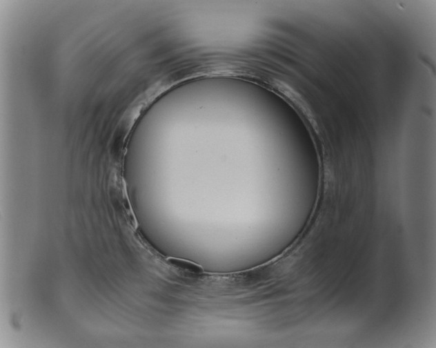 X0000099401481200805221843