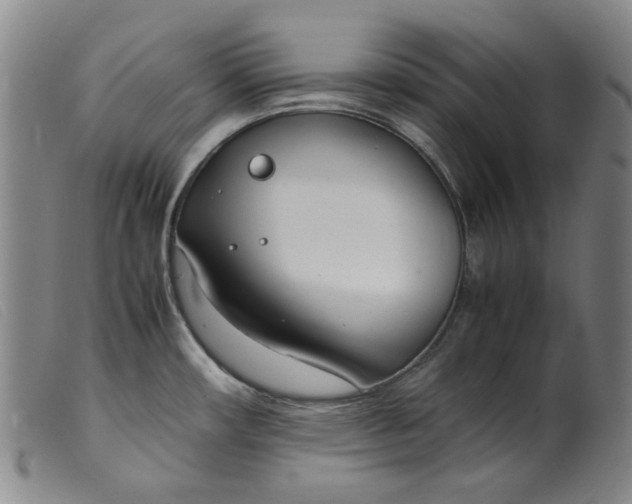 X0000099401482200805221843