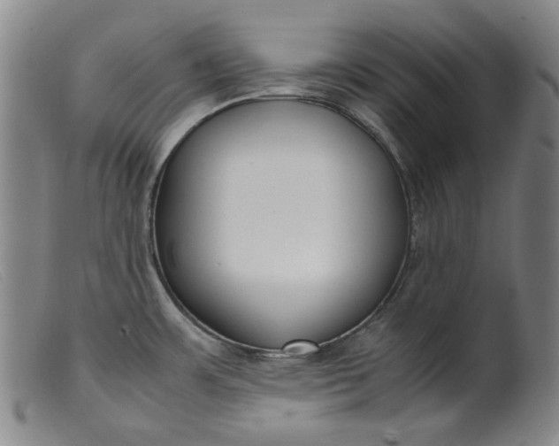 X0000099401483200805221843