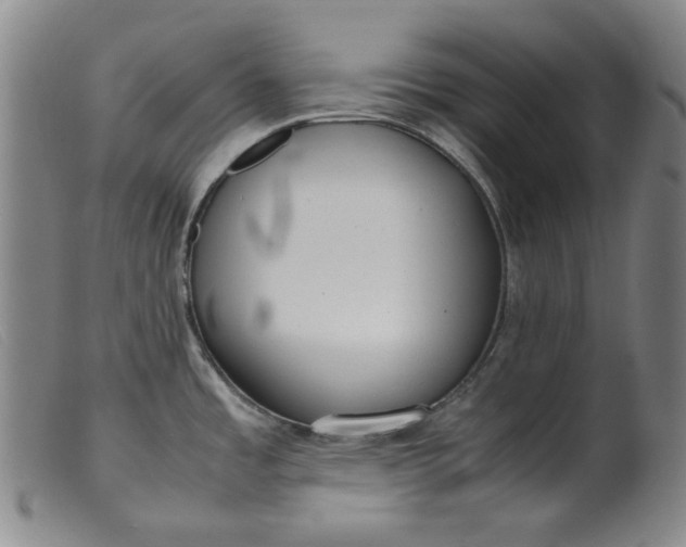 X0000099401485200805221843