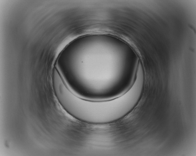 X0000099401486200805221843