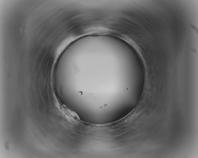 X0000099401488200805221843